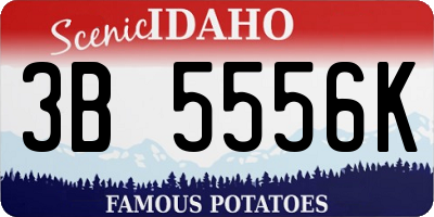 ID license plate 3B5556K
