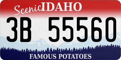 ID license plate 3B5556O