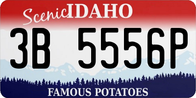 ID license plate 3B5556P