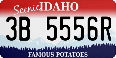 ID license plate 3B5556R