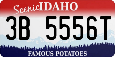 ID license plate 3B5556T