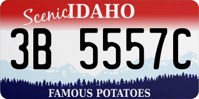 ID license plate 3B5557C