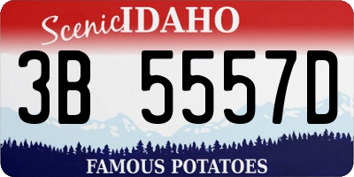 ID license plate 3B5557D