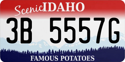 ID license plate 3B5557G
