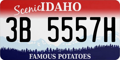 ID license plate 3B5557H