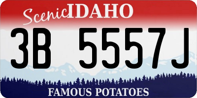 ID license plate 3B5557J