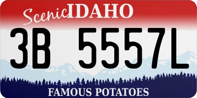ID license plate 3B5557L