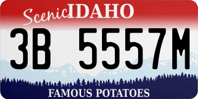 ID license plate 3B5557M