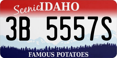 ID license plate 3B5557S