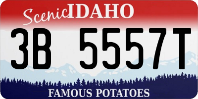 ID license plate 3B5557T