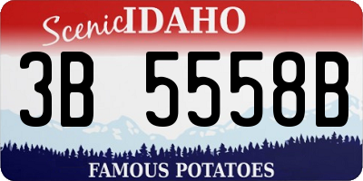 ID license plate 3B5558B