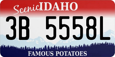 ID license plate 3B5558L