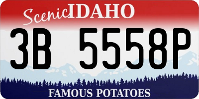 ID license plate 3B5558P