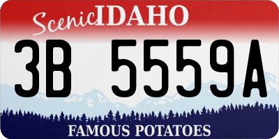 ID license plate 3B5559A