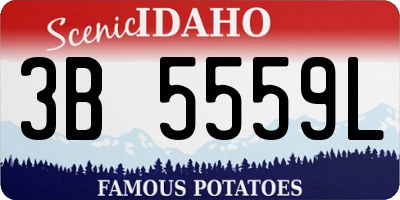 ID license plate 3B5559L