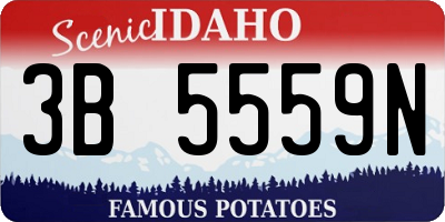 ID license plate 3B5559N