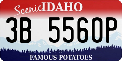 ID license plate 3B5560P