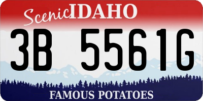 ID license plate 3B5561G