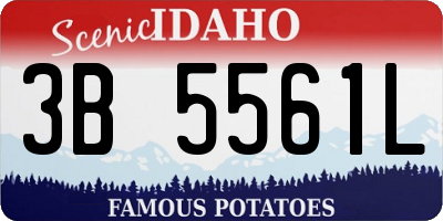 ID license plate 3B5561L