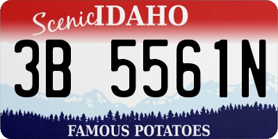 ID license plate 3B5561N