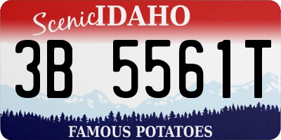 ID license plate 3B5561T