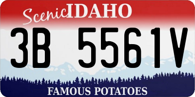 ID license plate 3B5561V