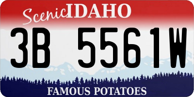 ID license plate 3B5561W
