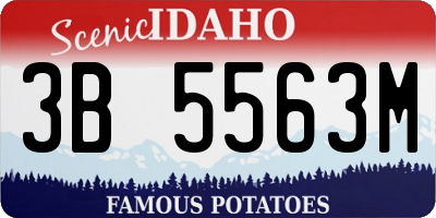 ID license plate 3B5563M