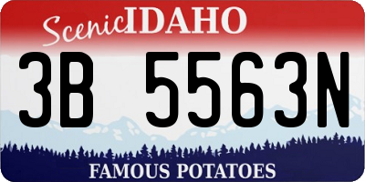 ID license plate 3B5563N