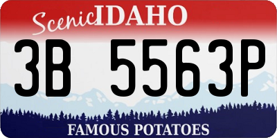 ID license plate 3B5563P