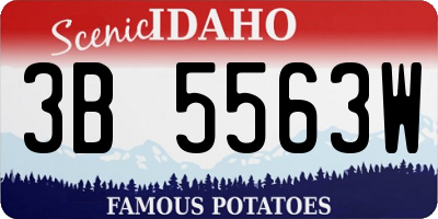 ID license plate 3B5563W