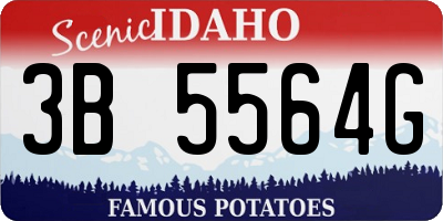 ID license plate 3B5564G
