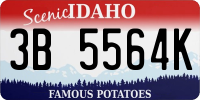 ID license plate 3B5564K