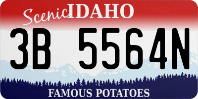 ID license plate 3B5564N