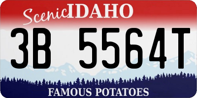 ID license plate 3B5564T