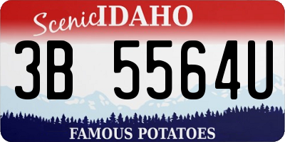 ID license plate 3B5564U