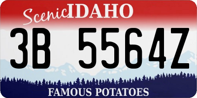 ID license plate 3B5564Z
