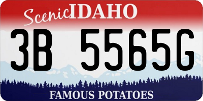 ID license plate 3B5565G