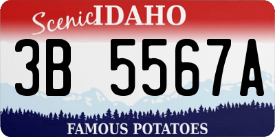 ID license plate 3B5567A