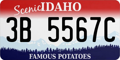 ID license plate 3B5567C