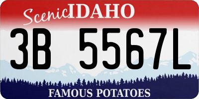 ID license plate 3B5567L