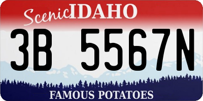 ID license plate 3B5567N