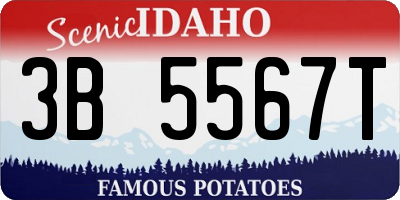 ID license plate 3B5567T