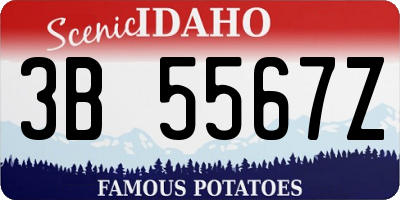 ID license plate 3B5567Z
