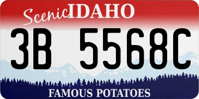 ID license plate 3B5568C