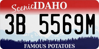 ID license plate 3B5569M