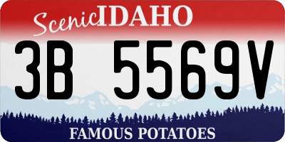 ID license plate 3B5569V