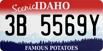 ID license plate 3B5569Y