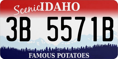 ID license plate 3B5571B