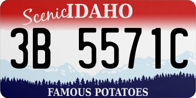 ID license plate 3B5571C